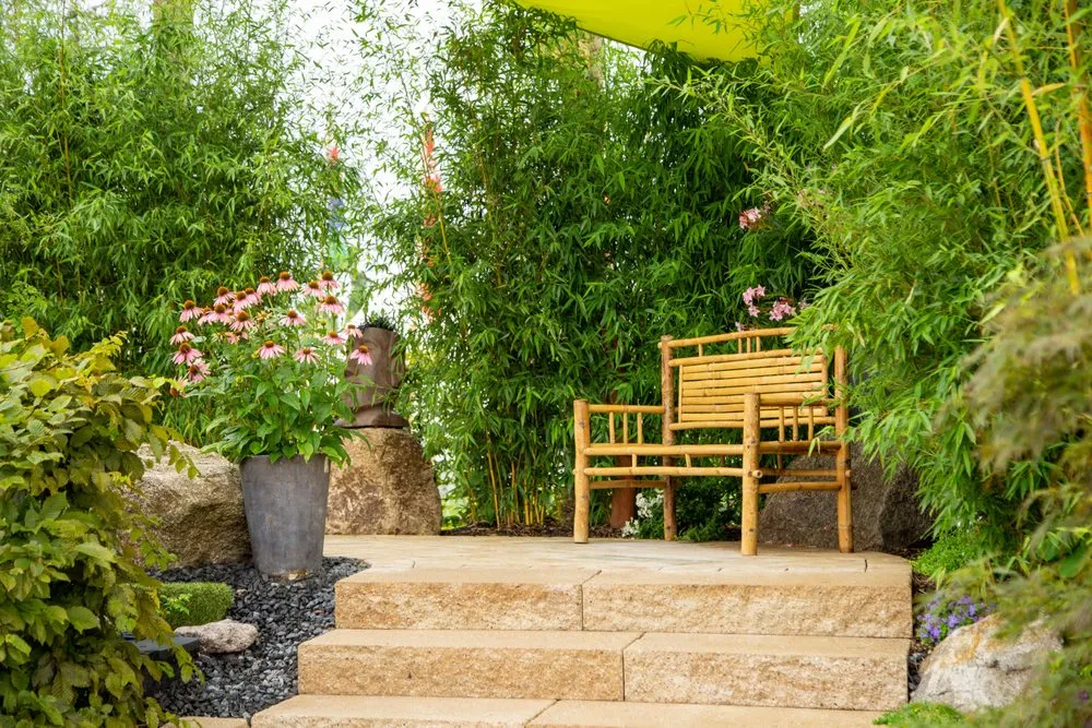 Local landscaping services in Edison, NJ - Artistic Bamboo