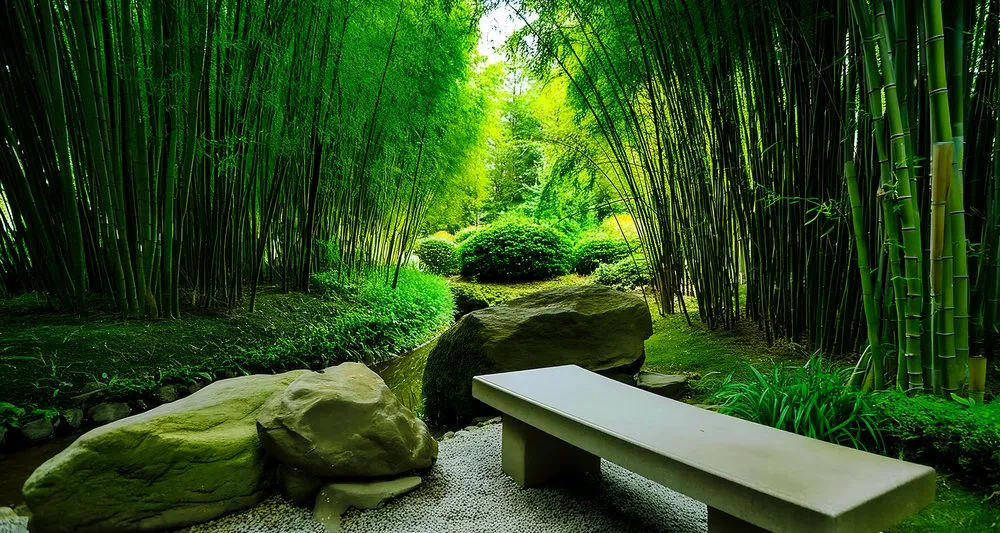 Affordable residential landscaping in Edison, NJ - Artistic Bamboo