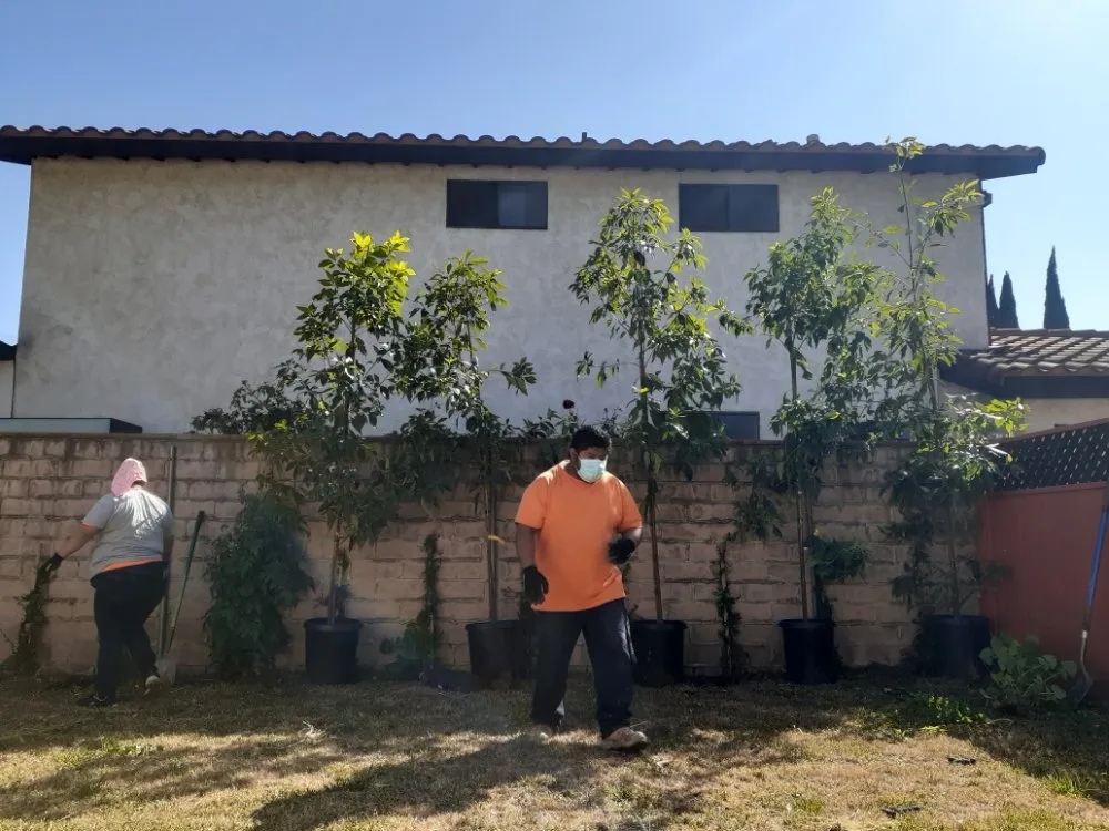 Top-rated residential landscaping experts serving West Hills, CA - Artistic Design Concepts Landscapes