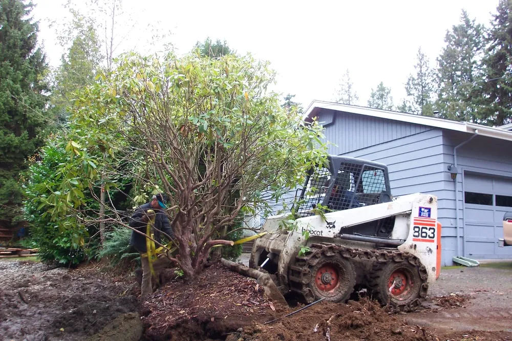 Reliable landscape design experts serving Bellingham, WA - Artistic Design Landscape