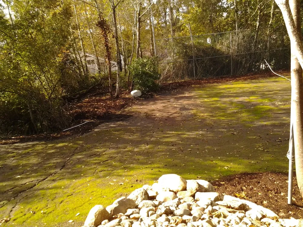 Professional yard cleanup service in Bellingham, WA by Artistic Design Landscape
