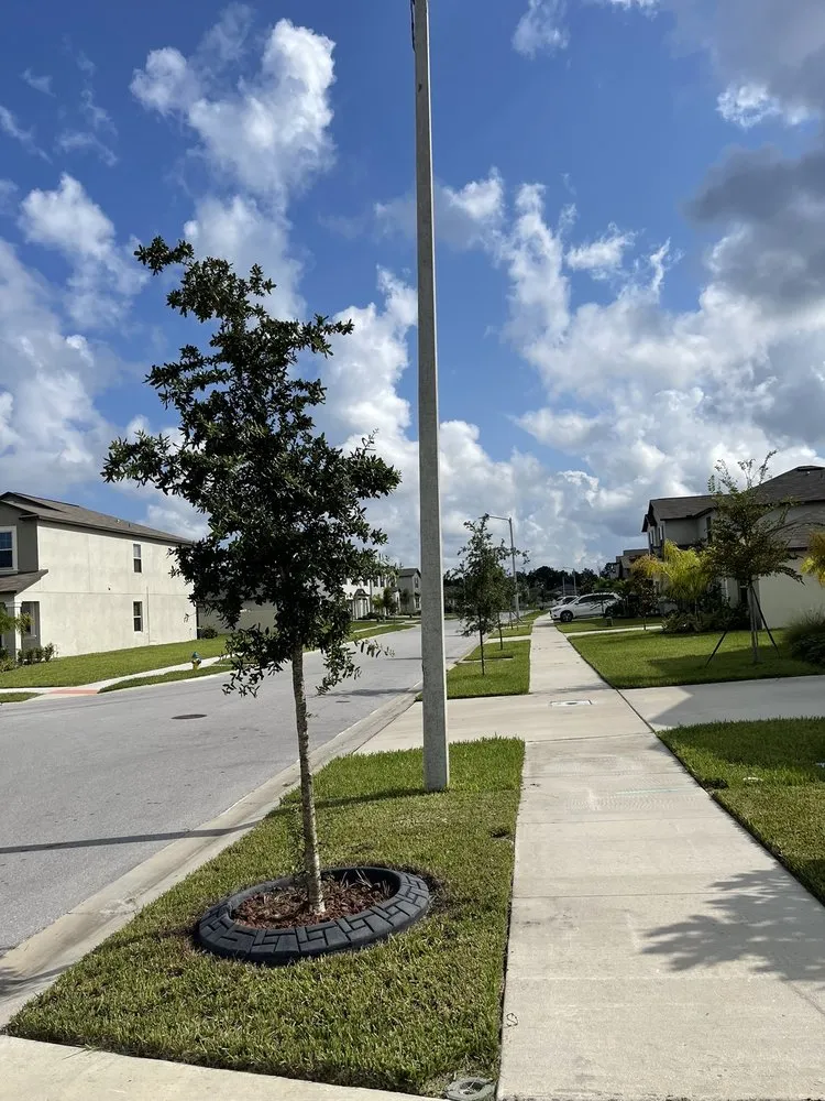 Trusted yard cleanup service experts serving Holiday, FL - Artistic Ground View