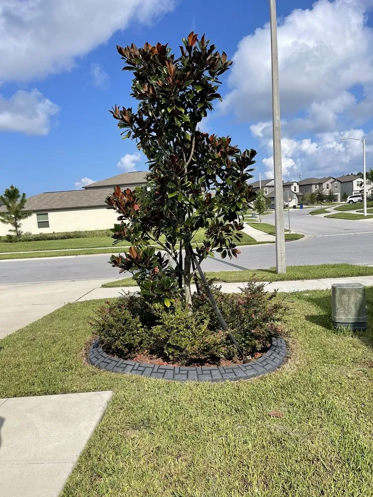 Expert residential landscaping experts serving Holiday, FL - Artistic Ground View