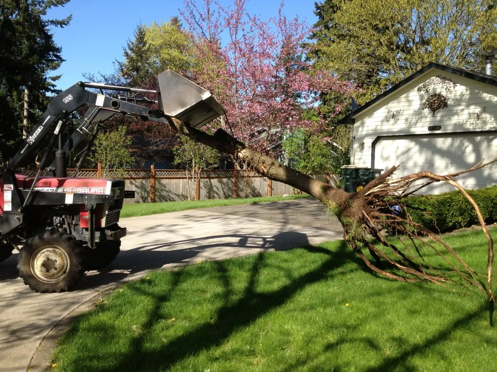 Local yard cleanup service in Roy, WA by Artistic Grounds Service