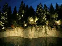 Custom lawn care service for year-round maintenance in Beverly Hills, CA by Artistic Illumination