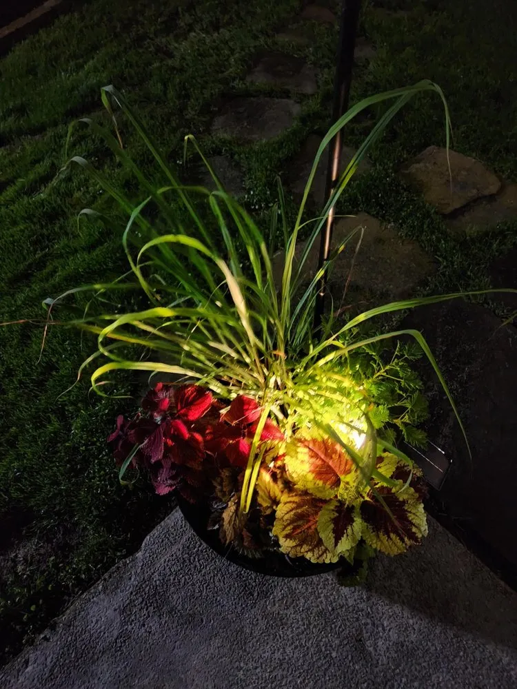 Local lawn mowing service for outdoor upgrades across Jackson, TN - Artistic Illumination