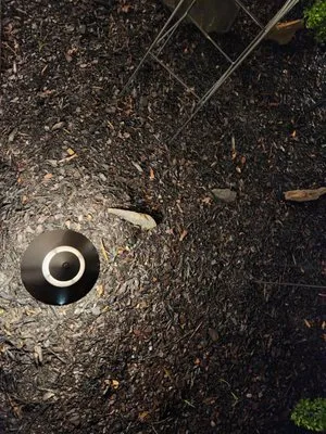 Artistic Illumination Logo