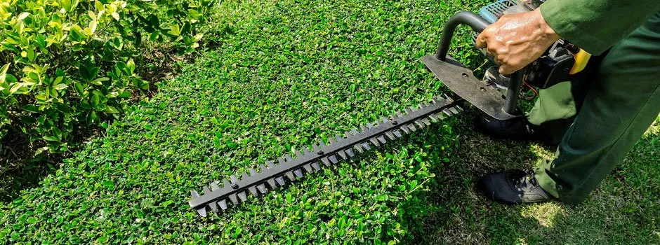 Custom garden landscaping in Indio, CA - Artistic Landcare