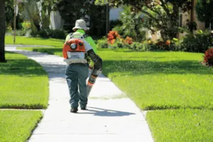 Custom lawn mowing service in Indio, CA by Artistic Landcare