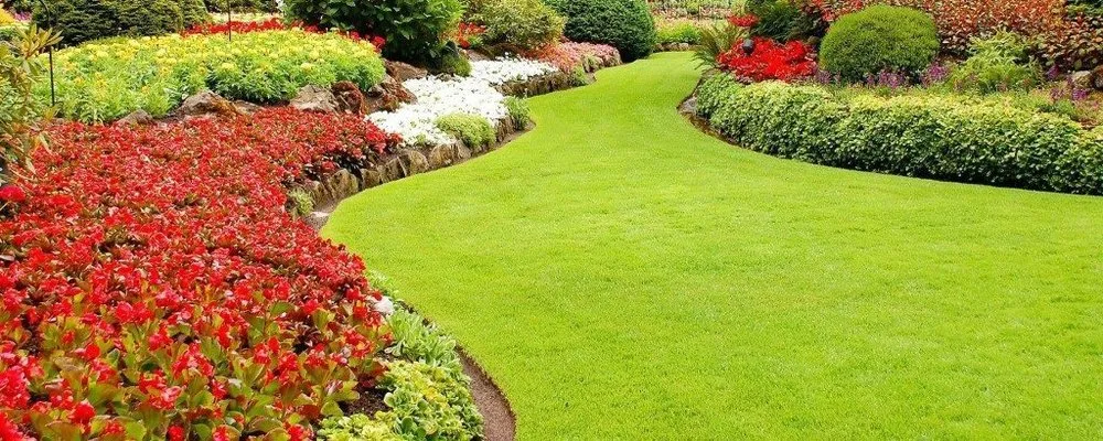 Affordable lawn mowing service experts serving Indio, CA - Artistic Landcare