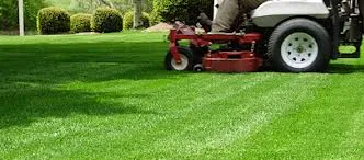 Professional garden landscaping experts serving Indio, CA - Artistic Landcare