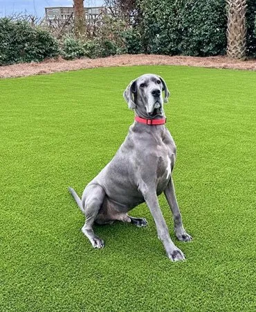 Trusted landscape installation near you in Myrtle Beach, SC by Artistic Landscape