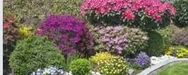 Expert yard maintenance in Tulalip, WA - Artistic Landscape Service