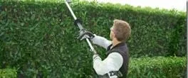 Expert lawn mowing service for outdoor upgrades across Tulalip, WA - Artistic Landscape Service