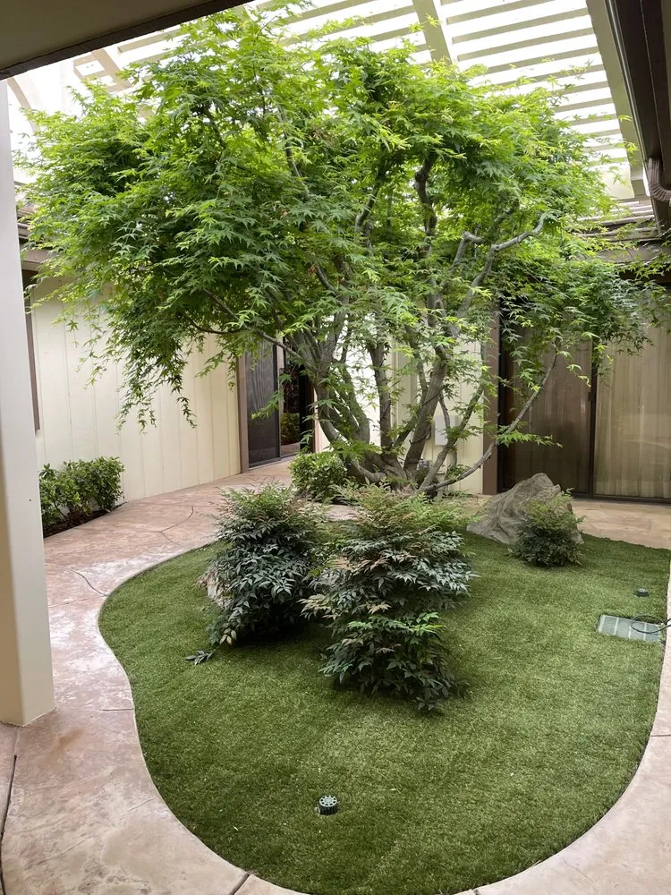 Expert lawn care service in Somis, CA by Artistic Landscape