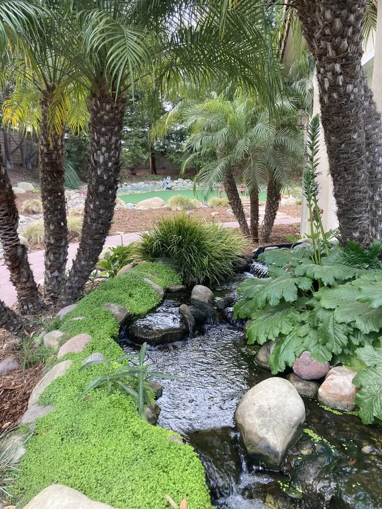 Professional garden landscaping for homes across Somis, CA - Artistic Landscape
