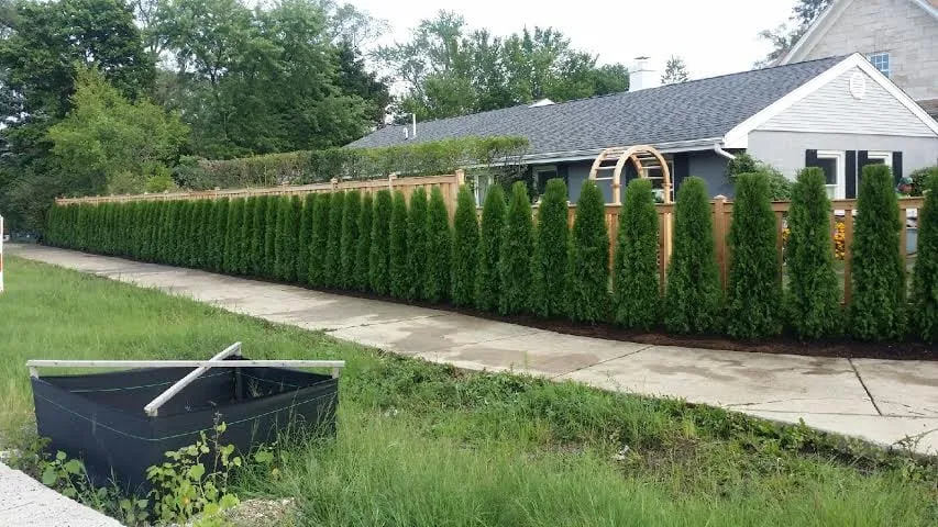 Trusted yard maintenance for homes across Des Plaines, IL - Artistic Landscapes, LLC