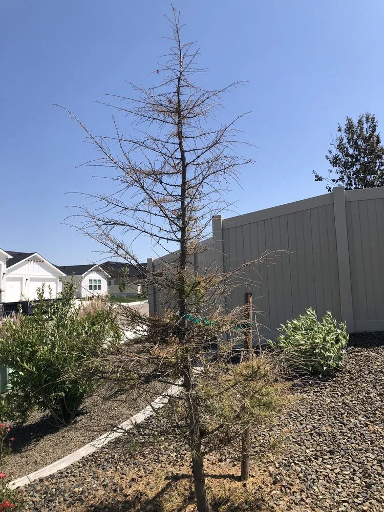 Professional outdoor landscaping in Nampa, ID by Artistic Landscaping & Nursery