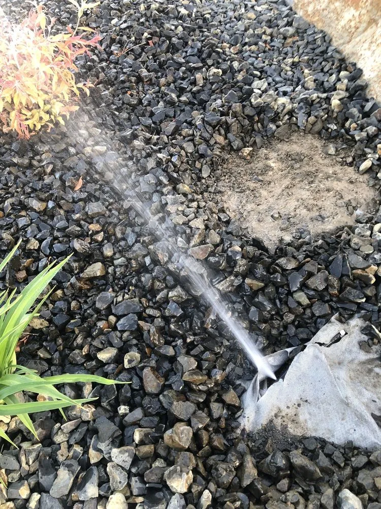 Expert yard cleanup service in Nampa, ID - Artistic Landscaping & Nursery