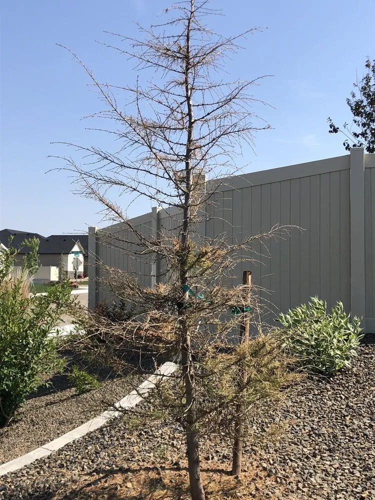 Expert landscape installation experts serving Nampa, ID - Artistic Landscaping & Nursery