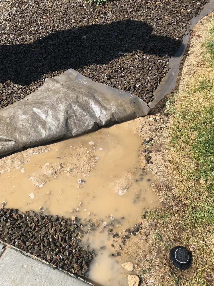 Trusted yard cleanup service in Nampa, ID by Artistic Landscaping & Nursery