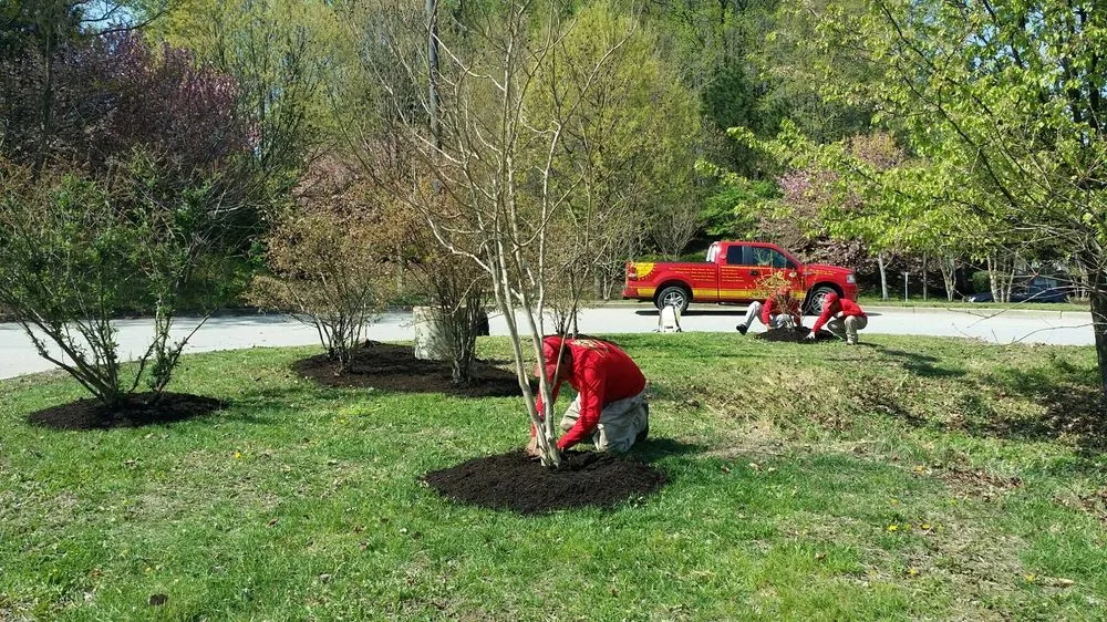 Top-rated yard cleanup service in Lanham, MD - Artistic Landscaping
