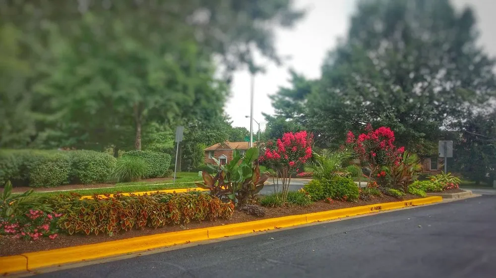 Top-rated landscape design experts serving Lanham, MD - Artistic Landscaping