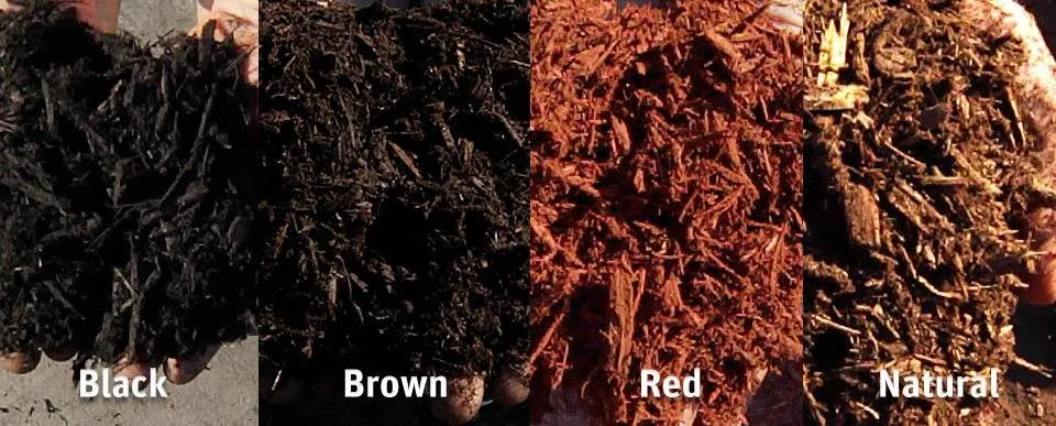 Local garden landscaping in Lanham, MD - Artistic Landscaping