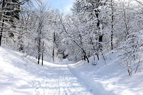 Trusted residential landscaping in Lanham, MD by Artistic Landscaping