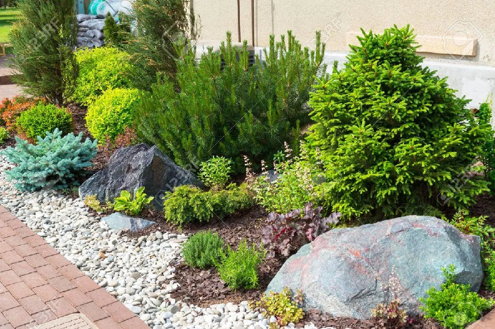 Local yard maintenance for year-round maintenance in Indio, CA by ARTISTIC Landscaping Services