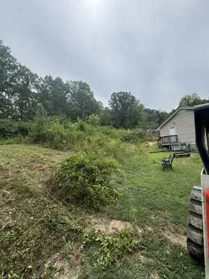 Artistic Lawn Care Tree Solutions