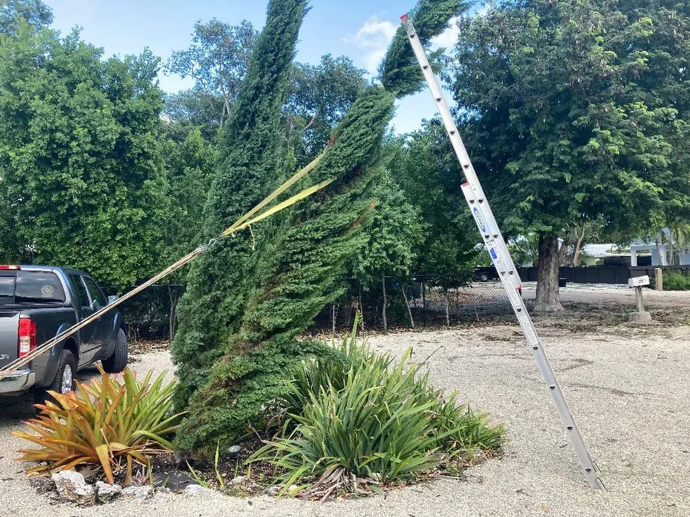 Custom lawn care service in Key Largo, FL by Artistic Lawn, Landscaping & Nursery