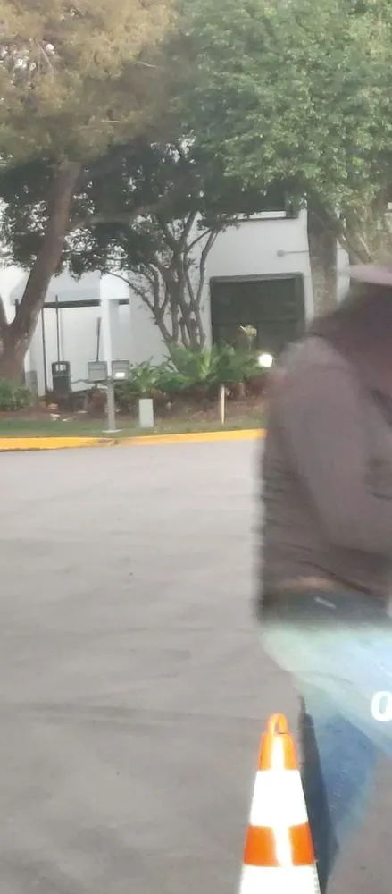 Top-rated lawn mowing service in Miami, FL - Artistic Lawn Service