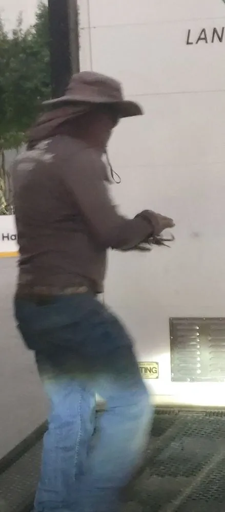 Local landscape design for residential properties in Miami, FL by Artistic Lawn Service