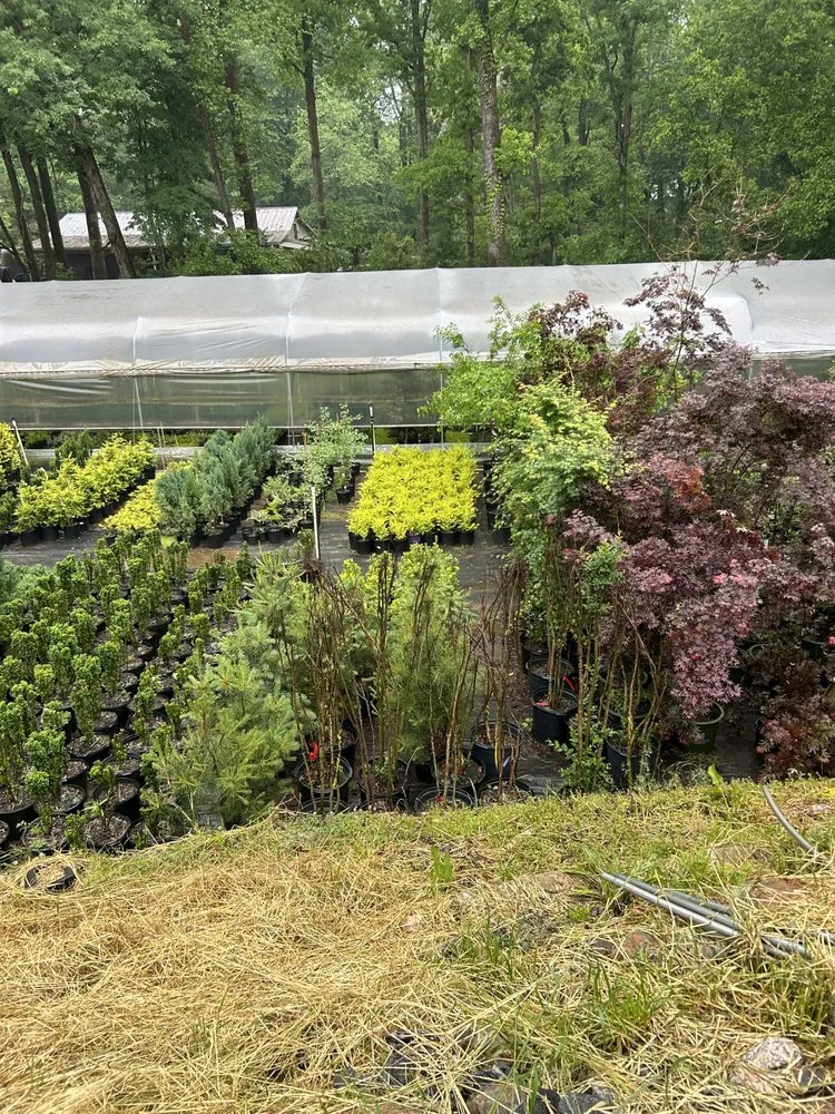 Professional landscape design experts serving Cumming, GA - Artistic Outdoors