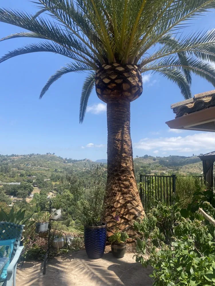 Top-rated yard maintenance in San Marcos, CA - Artistic Solutions Landscaping