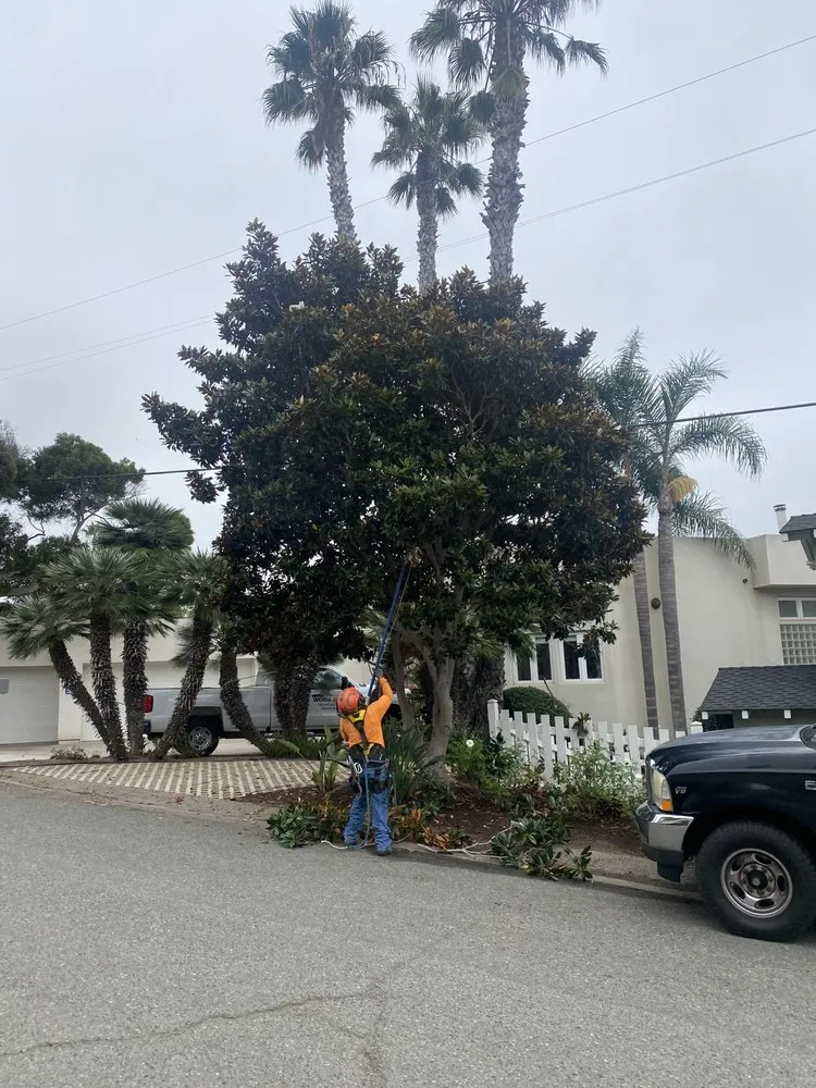 Professional residential landscaping in San Marcos, CA - Artistic Solutions Landscaping