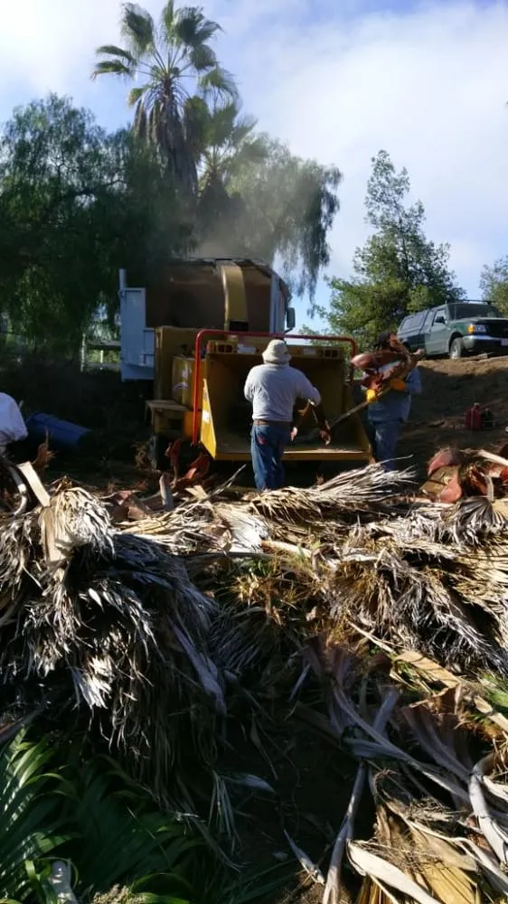 Custom outdoor landscaping for year-round maintenance across San Marcos, CA - Artistic Solutions Landscaping