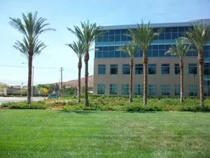 Custom landscape design in San Marcos, CA - Artistic Solutions Landscaping