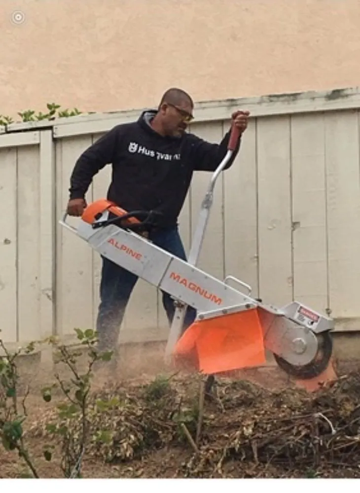 Top-rated lawn care service in San Marcos, CA by Artistic Solutions Landscaping