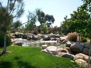 Custom outdoor landscaping for beautiful yards across San Marcos, CA - Artistic Solutions Landscaping