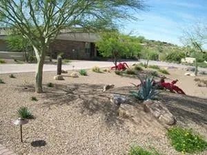 Custom yard cleanup service in San Marcos, CA by Artistic Solutions Landscaping