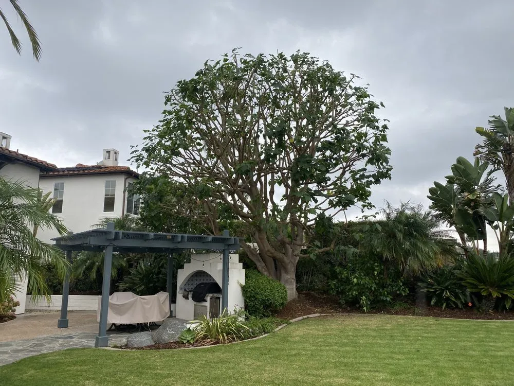 Custom residential landscaping experts serving San Marcos, CA - Artistic Solutions Landscaping