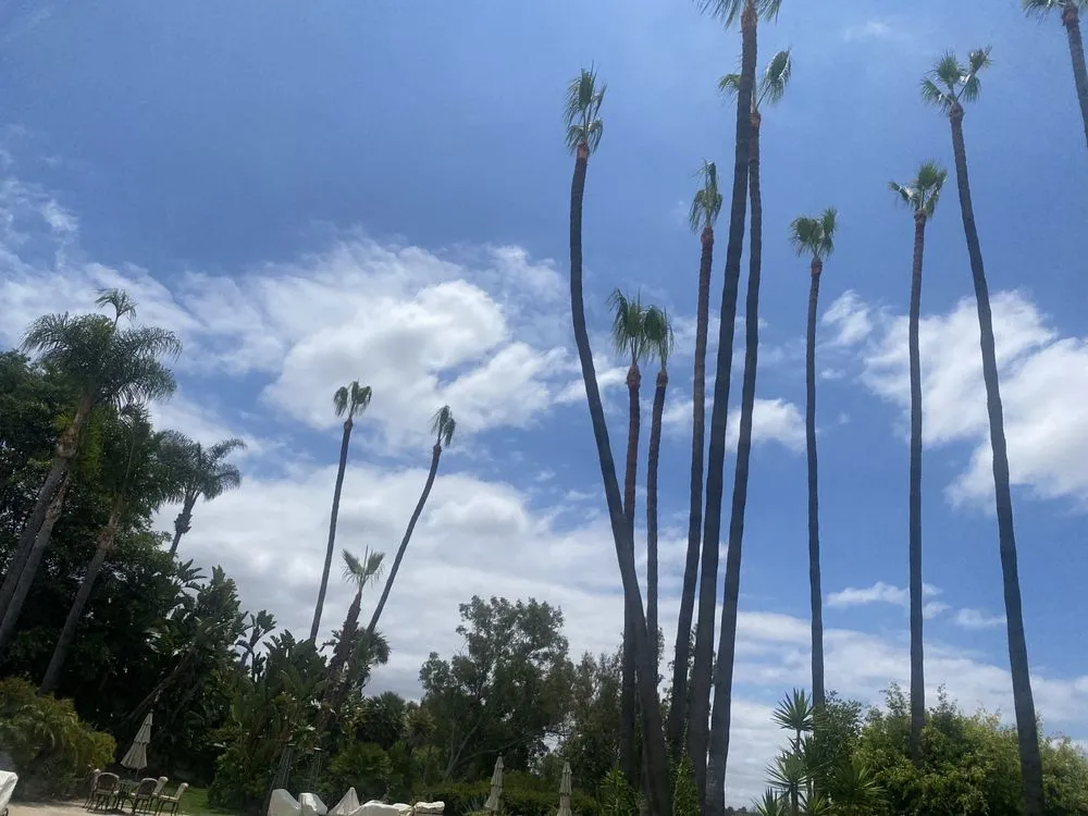 Custom lawn mowing service experts serving San Marcos, CA - Artistic Solutions Landscaping