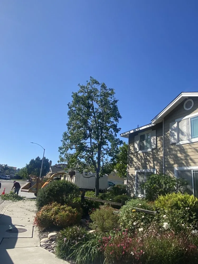 Custom landscape design experts serving San Marcos, CA - Artistic Solutions Landscaping