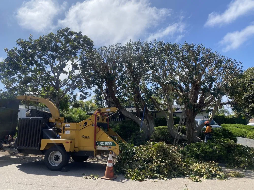 Custom residential landscaping in San Marcos, CA by Artistic Solutions Landscaping