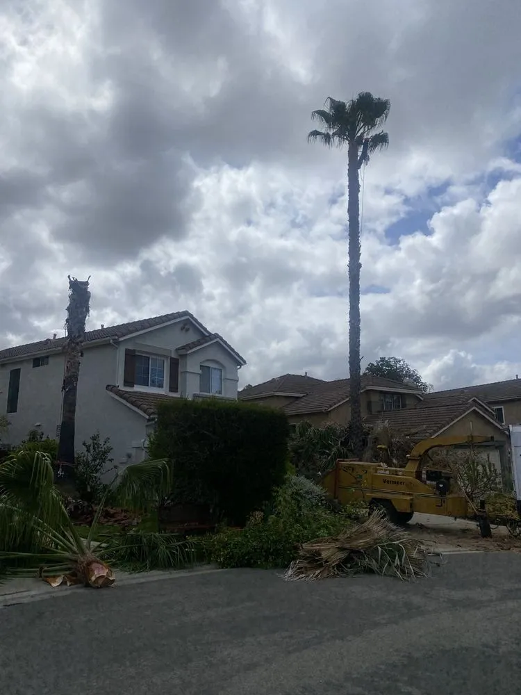 Custom landscaping services in San Marcos, CA by Artistic Solutions Landscaping