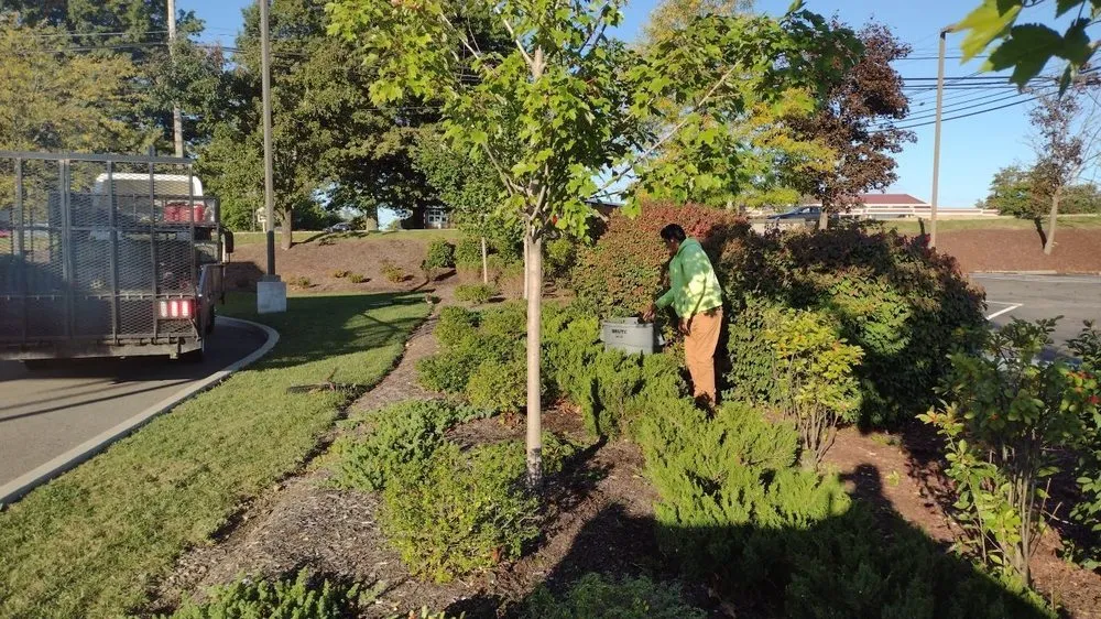 Top-rated landscape installation in Gibsonia, PA by Artistic Tree & Landscape Creations