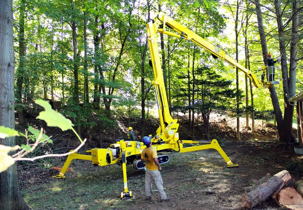 Expert lawn care service in Gibsonia, PA - Artistic Tree & Landscape Creations