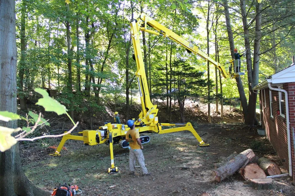 Custom lawn mowing service near you in Gibsonia, PA by Artistic Tree & Landscape Creations